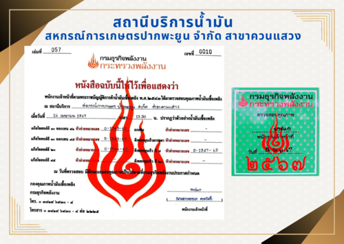 Golden Elegant Certificate of Appreciation (2) (1).png